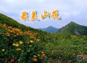 【好名声网】最美山花(上)(刘文艳)