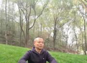 听雨的心境（瞿军）