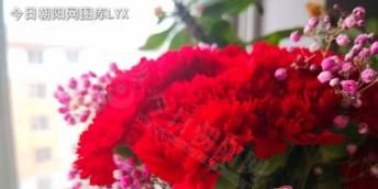 【好名声网】母亲的“谎言”（包明丽）