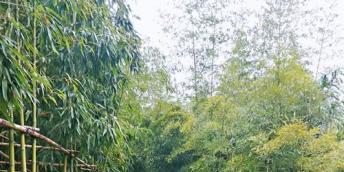 【好名声网】雨落成诗（李亚男）