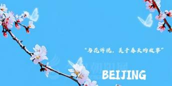 【好名声网】山居春意（李亚男）