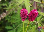 【好名声网】青春奋斗正当时（刘莉）