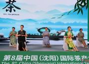 【好名声网】万缕茶香盈盛京——第8届华巨臣沈阳茶博会首日掠影