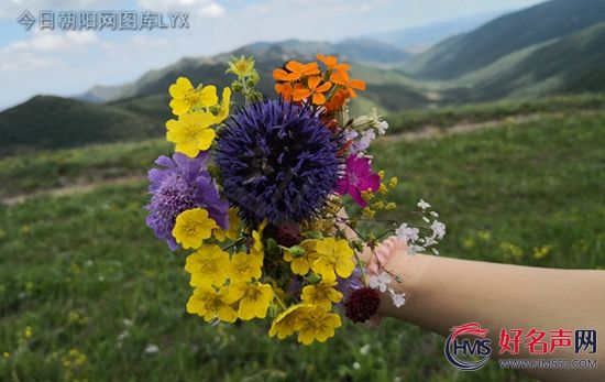 【好名声网】非期然结果（包明丽）