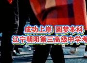 成功上岸，圆梦本科，怀最骄傲的心，走最坚实的路