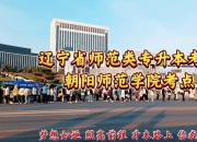 梦想如炬，照亮前程，升本路上，你我同行