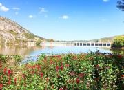 【好名声网】经验（韩辉升）