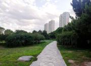 【好名声网】退休记（韩辉升）