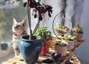 【好名声网】望你（韩辉升）