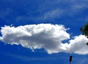 【好名声网】望云（韩辉升）