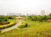 【好名声网】碎梦记（韩辉升）