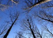 【好名声网】刀刻的初恋（韩辉升）