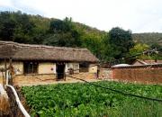 【好名声网】一双旧鞋子（韩辉升）