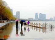 【好名声网】这雨下得真是时候（韩辉升）