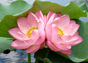 【好名声网】爱的力量（韩辉升）