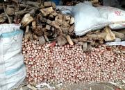 【好名声网】柴垛（韩辉升）