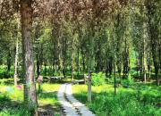 【好名声网】林子里（韩辉升）