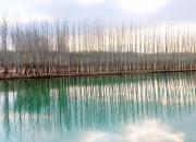 【好名声网】思想河（三十首）（三）（韩辉升）