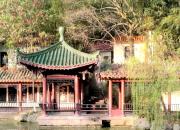 【好名声网】思想河（三十首）（二十）（韩辉升）