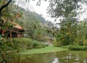 【好名声网】思想河（三十首）（二十二）（韩辉升）