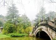 【好名声网】思想河（三十首）（二十五）（韩辉升）