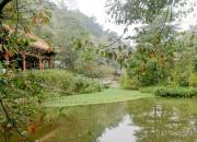 【好名声网】思想河（三十首）（二十七）（韩辉升）