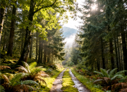 【好名声网】山路（韩辉升）