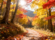 【好名声网】蝉鸣（韩辉升）