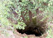 【好名声网】钻井（韩辉升）