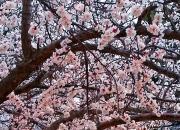 【好名声网】为你诊病（韩辉升）