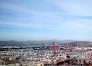 【好名声网】木耳（韩辉升）