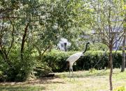 【好名声网】它们很小很小（韩辉升）