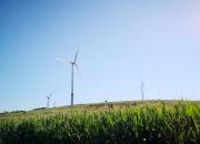 【好名声网】兔子不吃窝边草（作者  韩辉升）