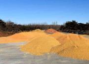 【好名声网】乡下弟弟（韩辉升）