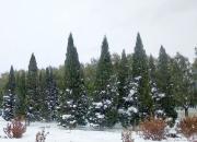 【好名声网】小雪（韩辉升）