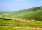 【好名声网】梦里（文/韩辉升）