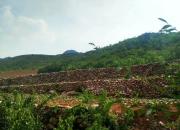 【好名声网】五千年前，我在牛河梁制陶（文/韩辉升）