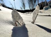 【好名声网】大雪 （文/韩辉升）