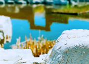 【好名声网】人生滋味（文/韩辉升）