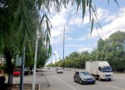 【好名声网】这是哪一个（文/韩辉升）