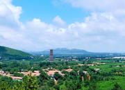 【好名声网】回首（文/韩辉升）