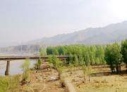 【好名声网】小傻子（文/韩辉升）