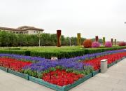 【好名声网】是时候了 （文/韩辉升）