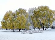 【好名声网】社稷（文/韩辉升）