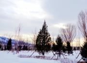 【好名声网】请你帮我找一找春天（文/韩辉升）