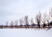 【好名声网】遇到逝者（文/韩辉升）