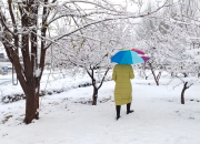 【好名声网】小叙事：朝阳（组诗）（三）老党员（文/韩辉升）