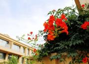 【好名声网】小叙事：朝阳（组诗）（十六）创业者（文/韩辉升）