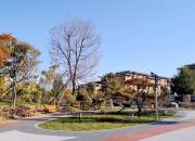 【好名声网】小叙事：朝阳（组诗）（二十二）创城记（文/韩辉升）