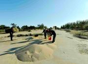 【好名声网】追远（文/韩辉升）